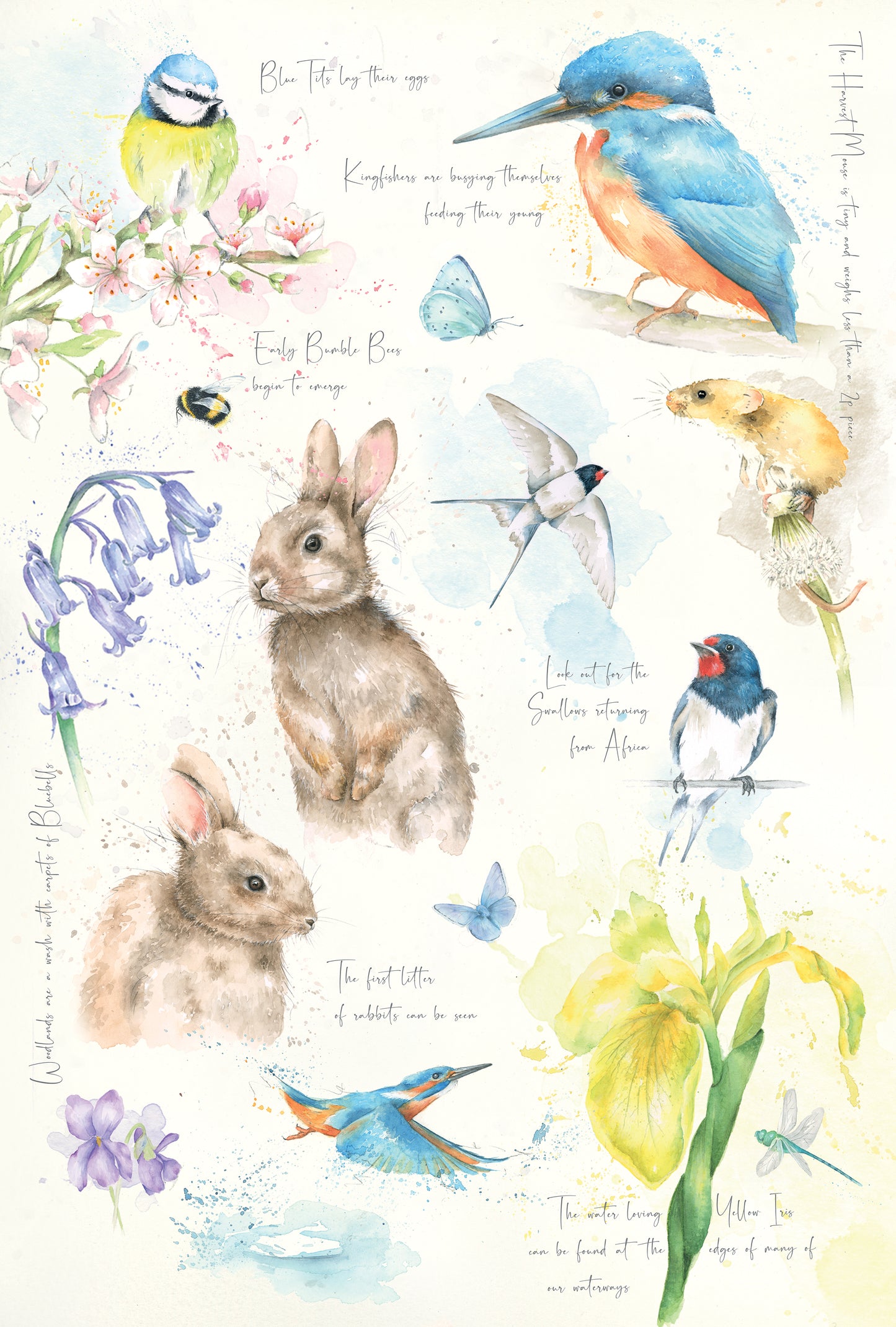 Tea Towel Nature's Diary Autumn