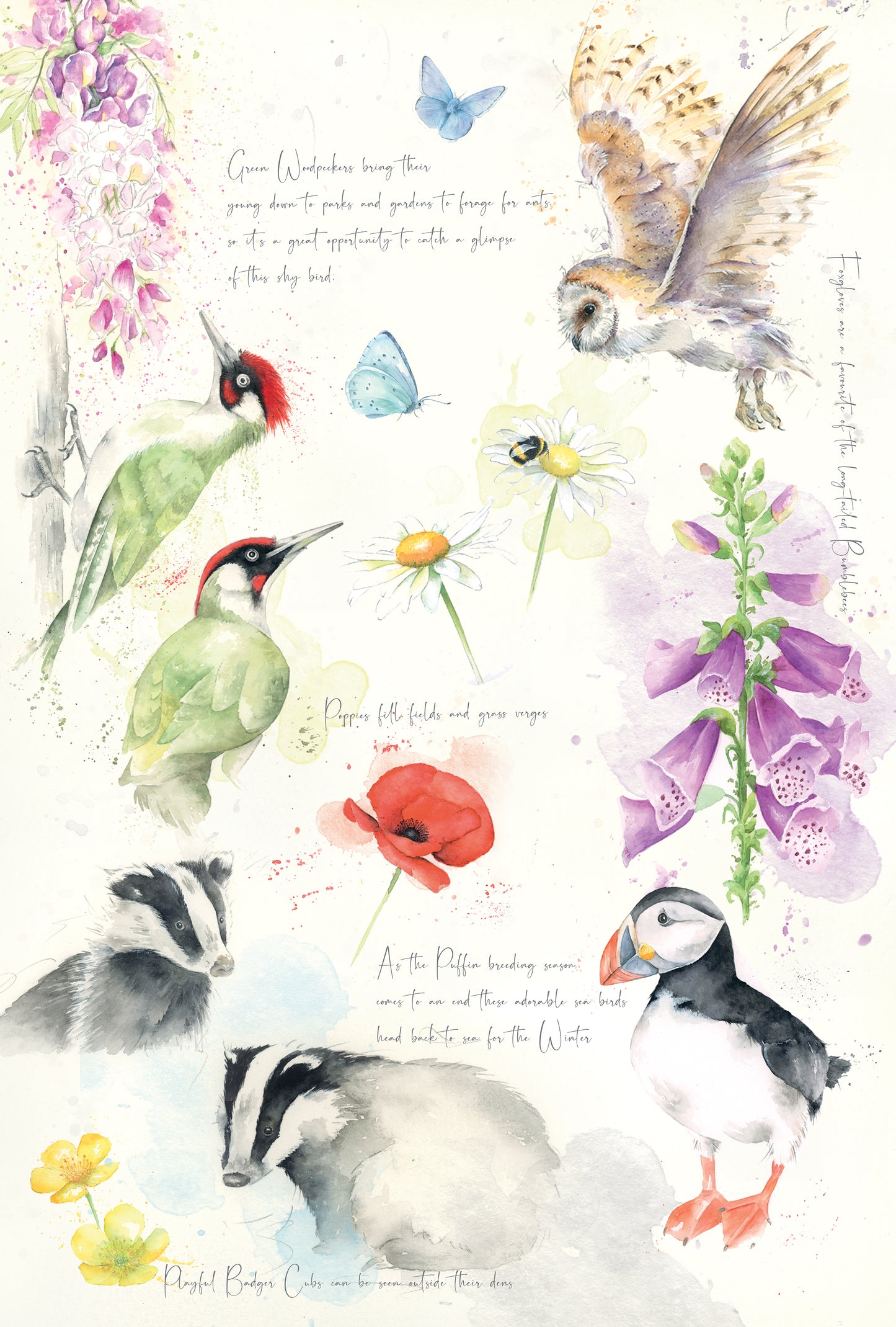 Tea Towel Nature's Diary Spring