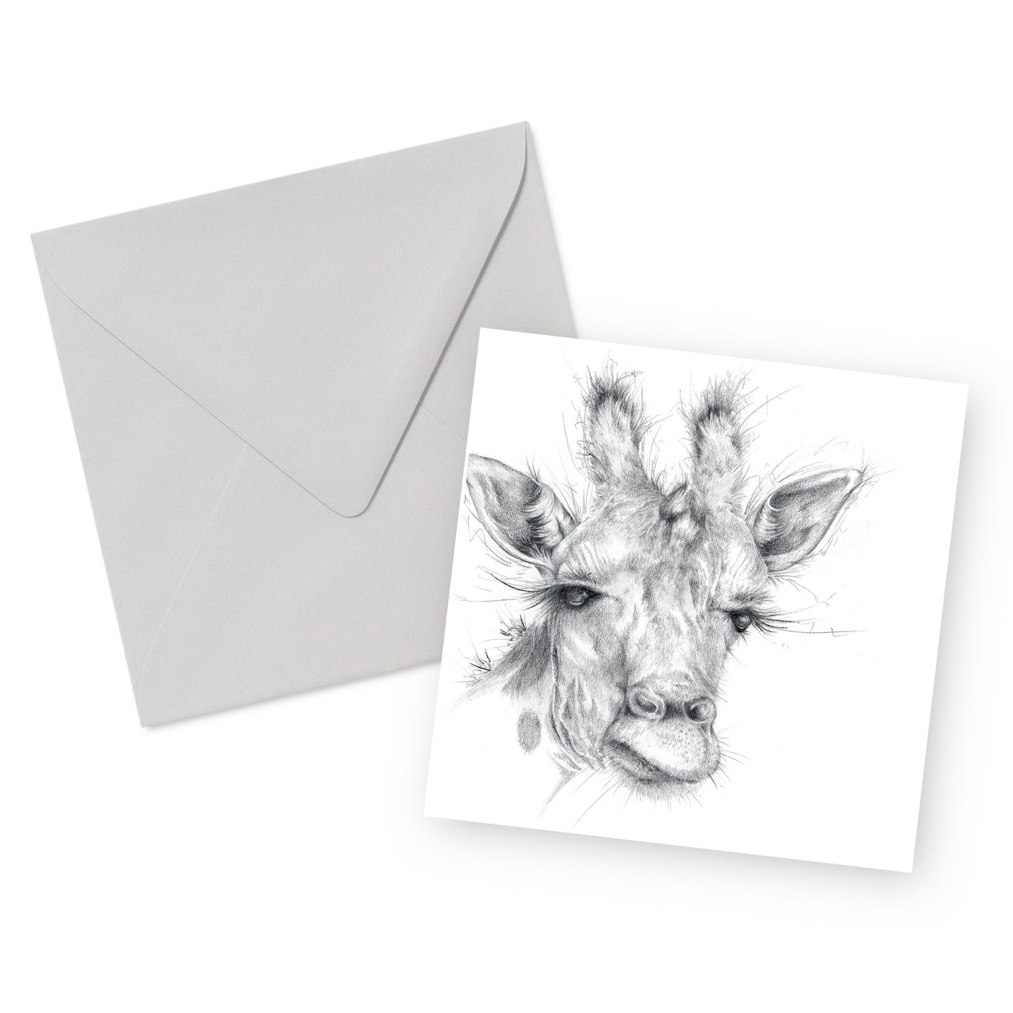 Giraffe Greeting Card