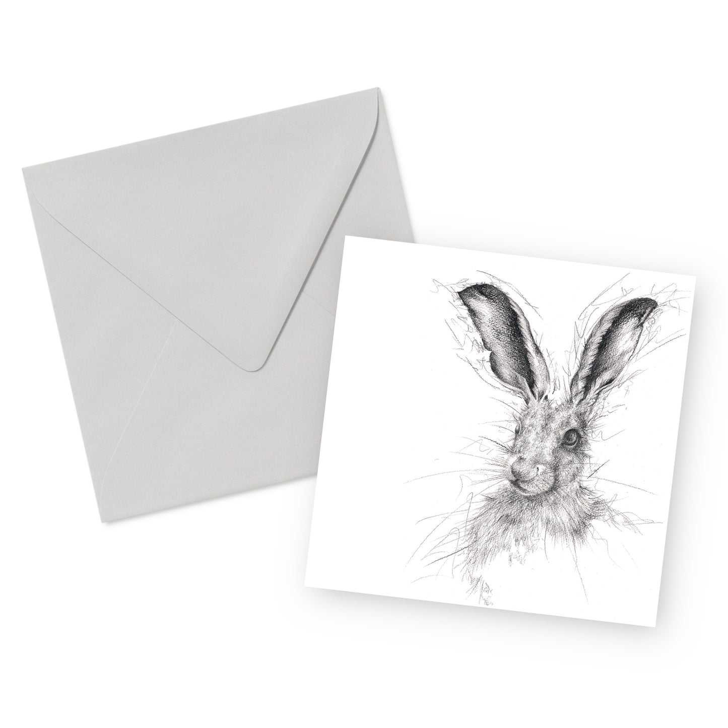 Hare called Twitch Greeting Card