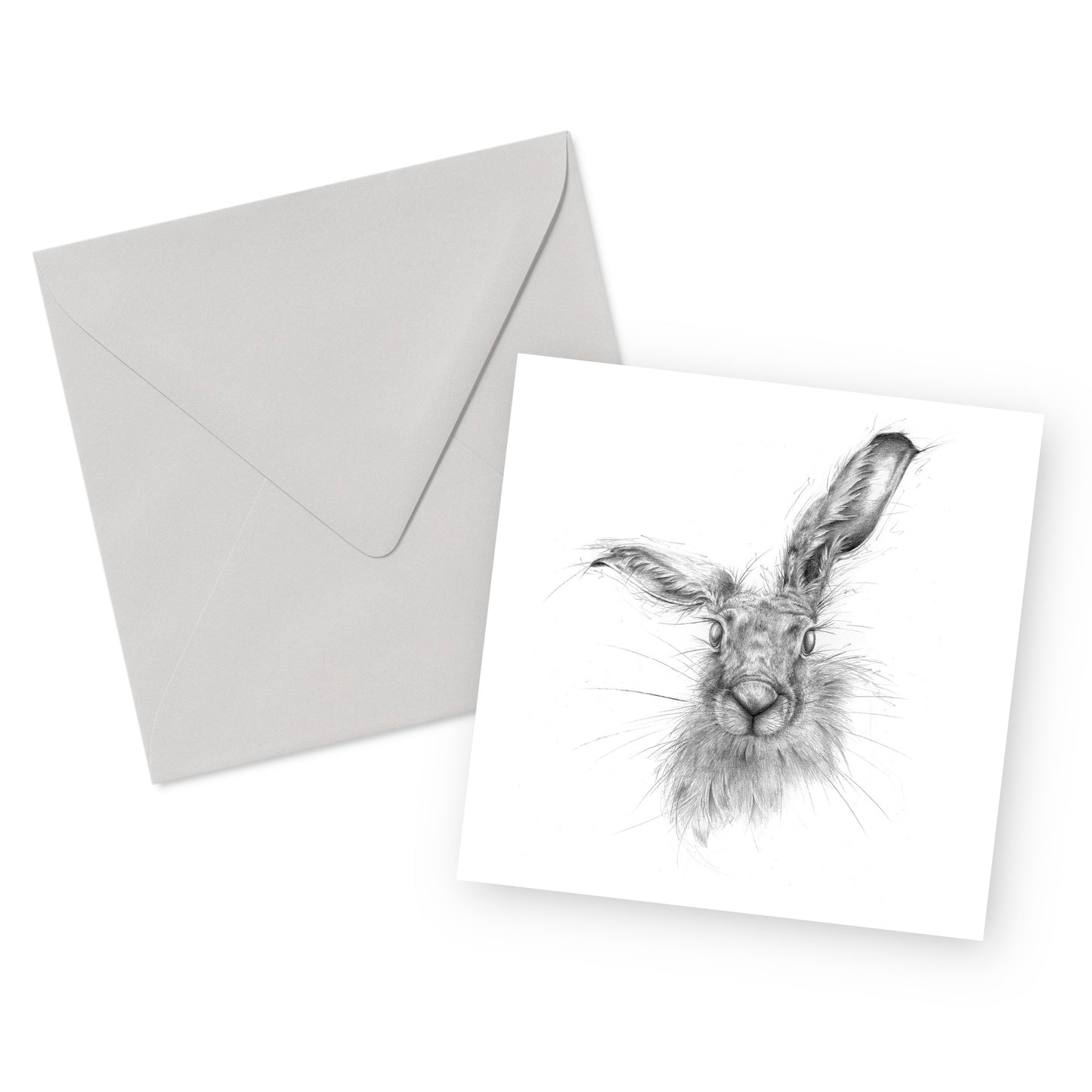 Brown Hare Greeting Card