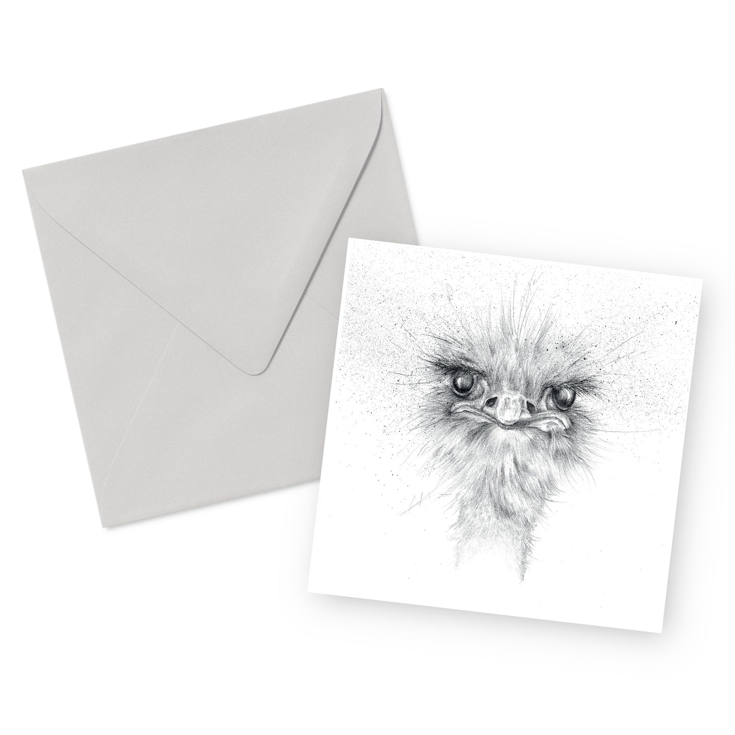 Ostrich Greeting Card