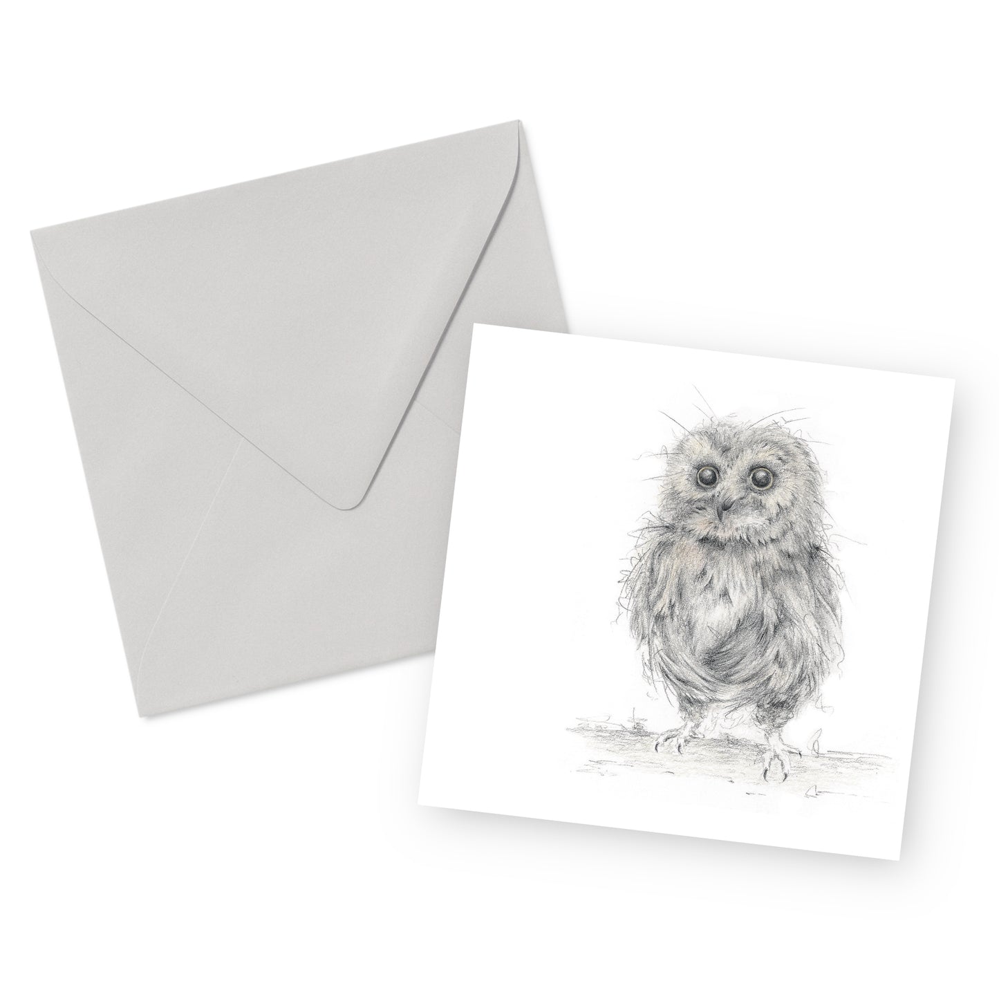 Owl Greeting Card