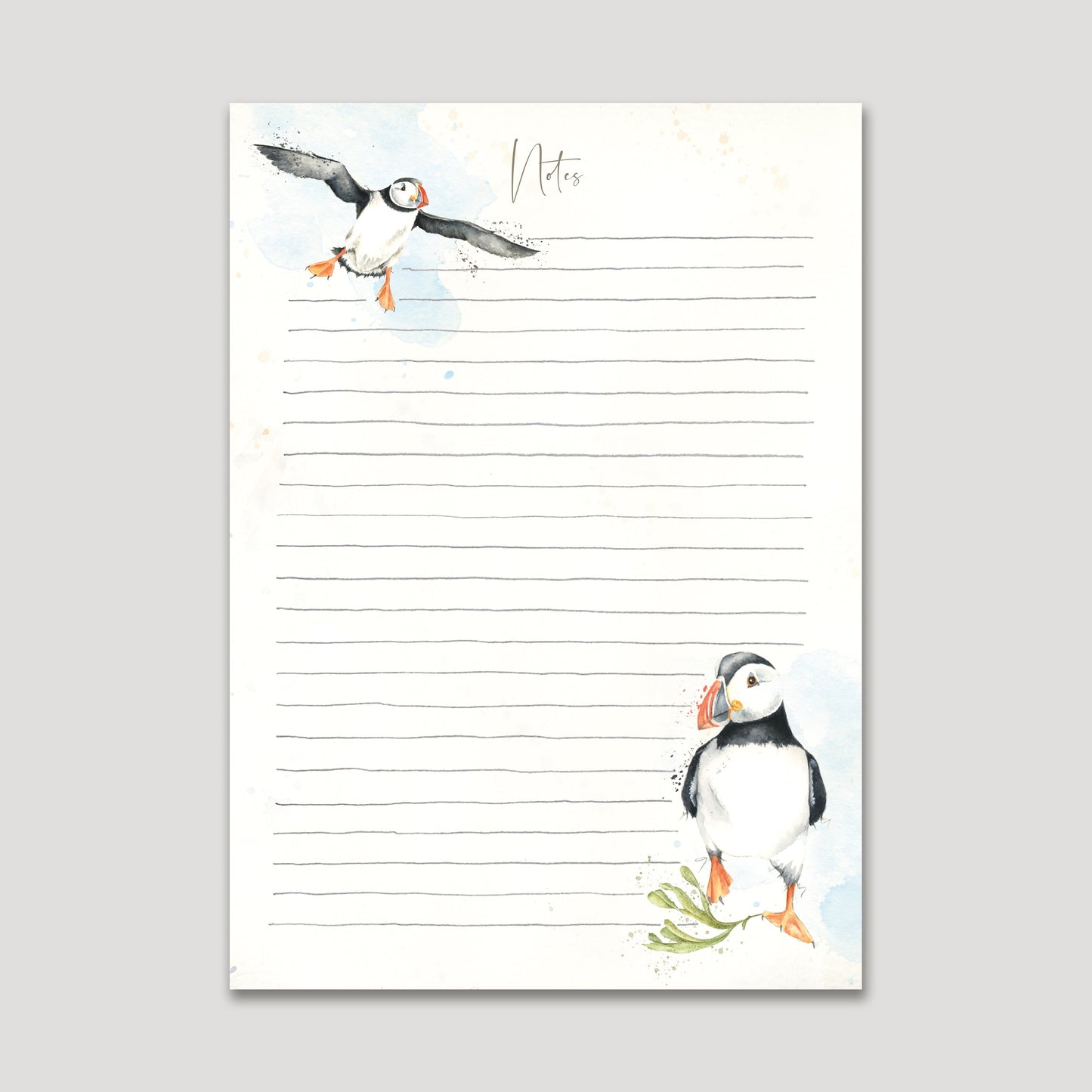 Red Squirrel Note Pad