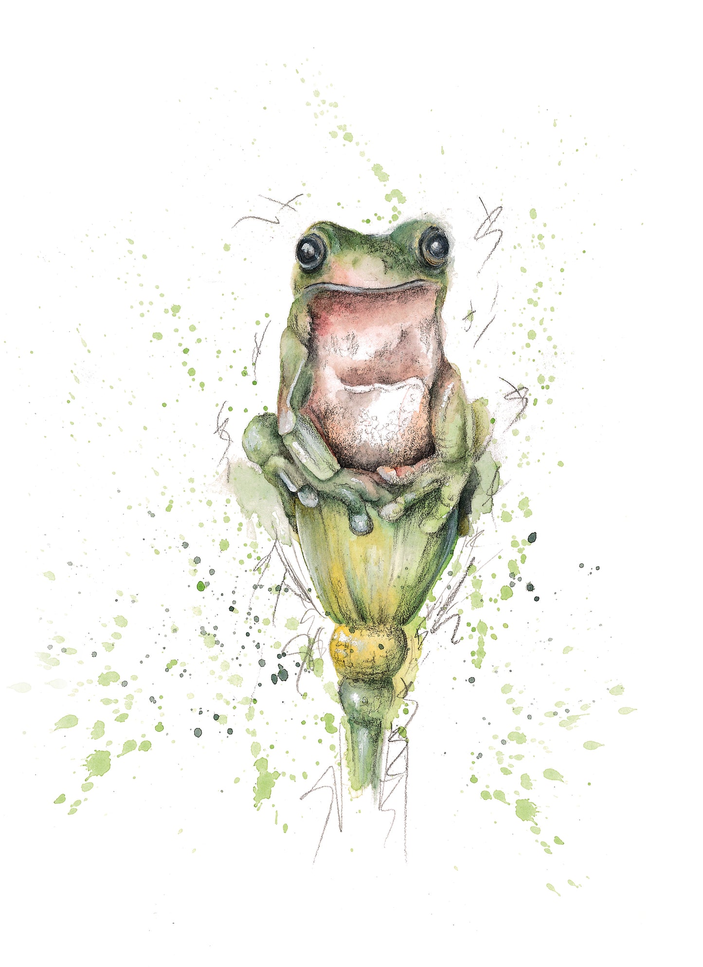 Frog Cushion, Pillow, Soft Furnishings, Home decor, Art for the Home