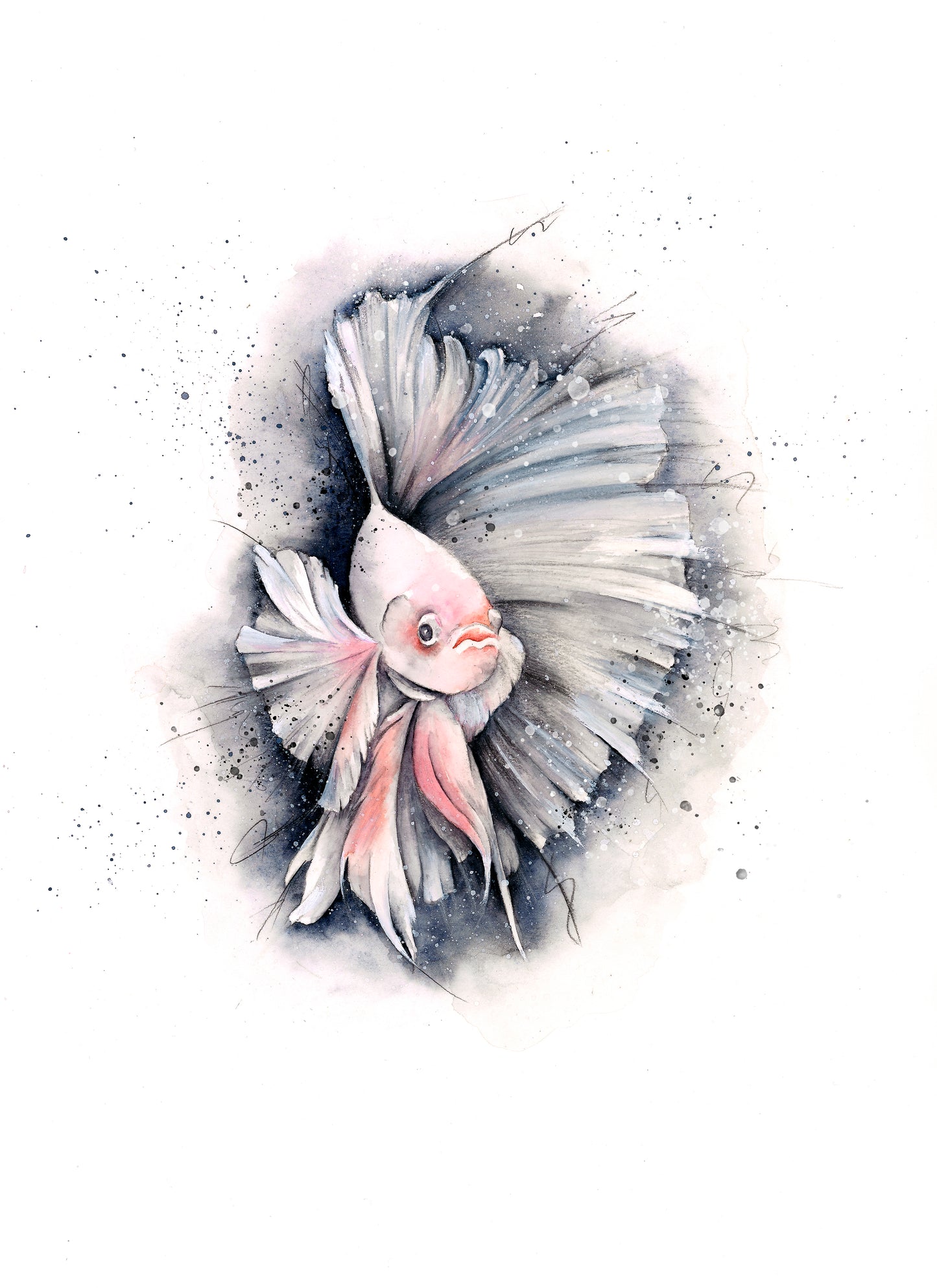 Betta Fish Limited Edition Giclee Art Print