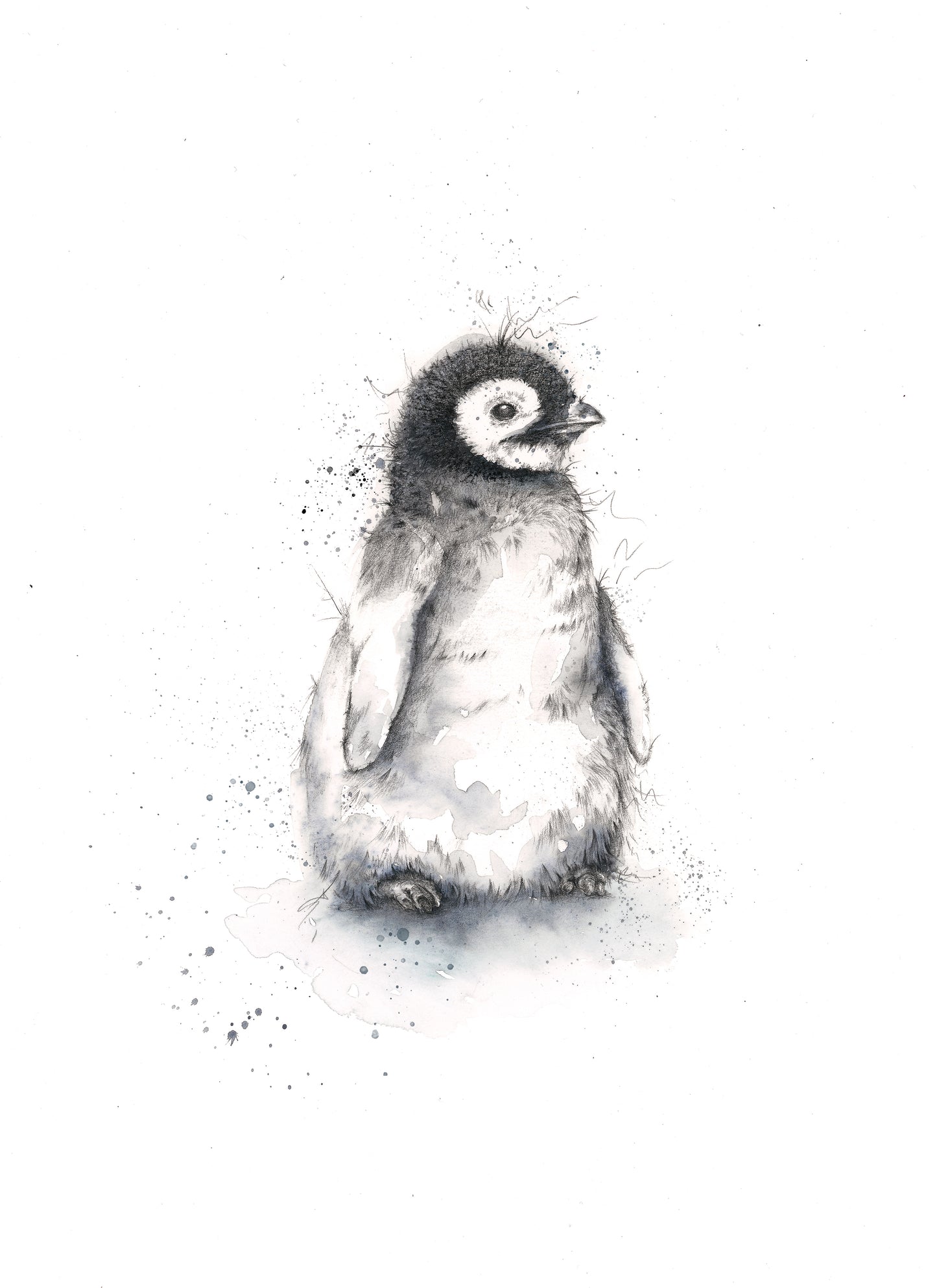 Penguin Chick Limited Edition Giclee Art Print