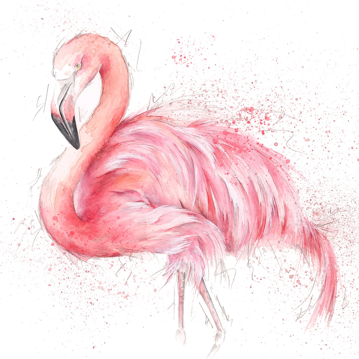 Flamingo Limited Edition Giclee Art Print