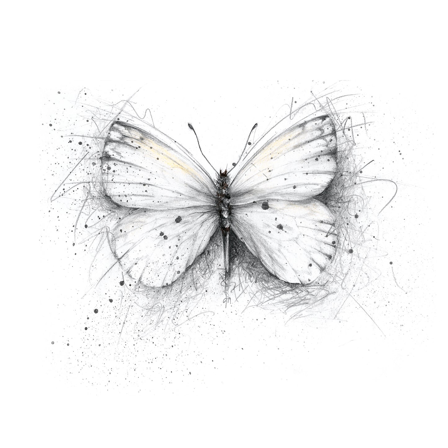Butterfly Limited Edition Giclee Art Print