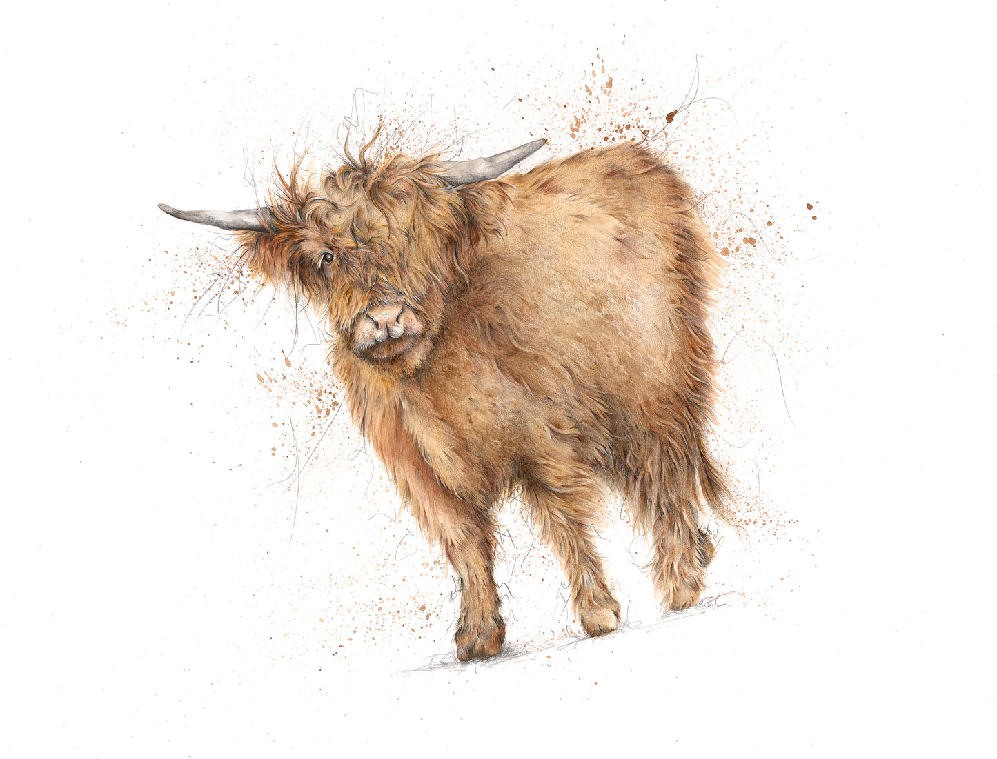 Highland Cow Limited Edition Giclee Art Print