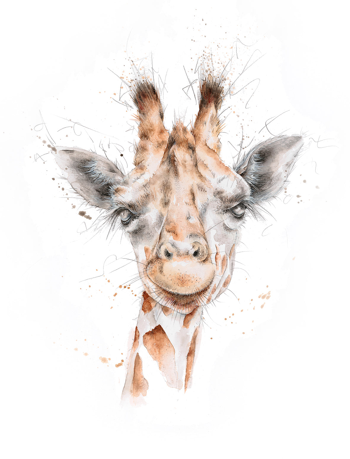 Giraffe Limited Edition Giclee Art Print