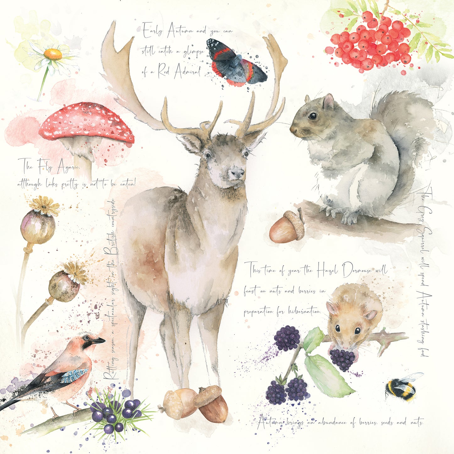 Autumn Cushion, Pillow, Soft Furnishings, Home decor, Art for the Home, Nature's Diary