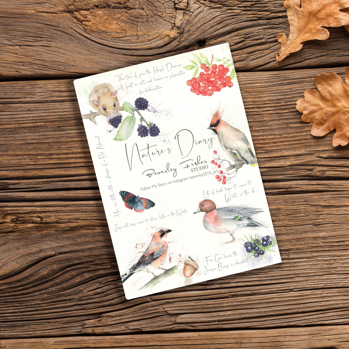 A5 Autumn Notebook Nature's Diary