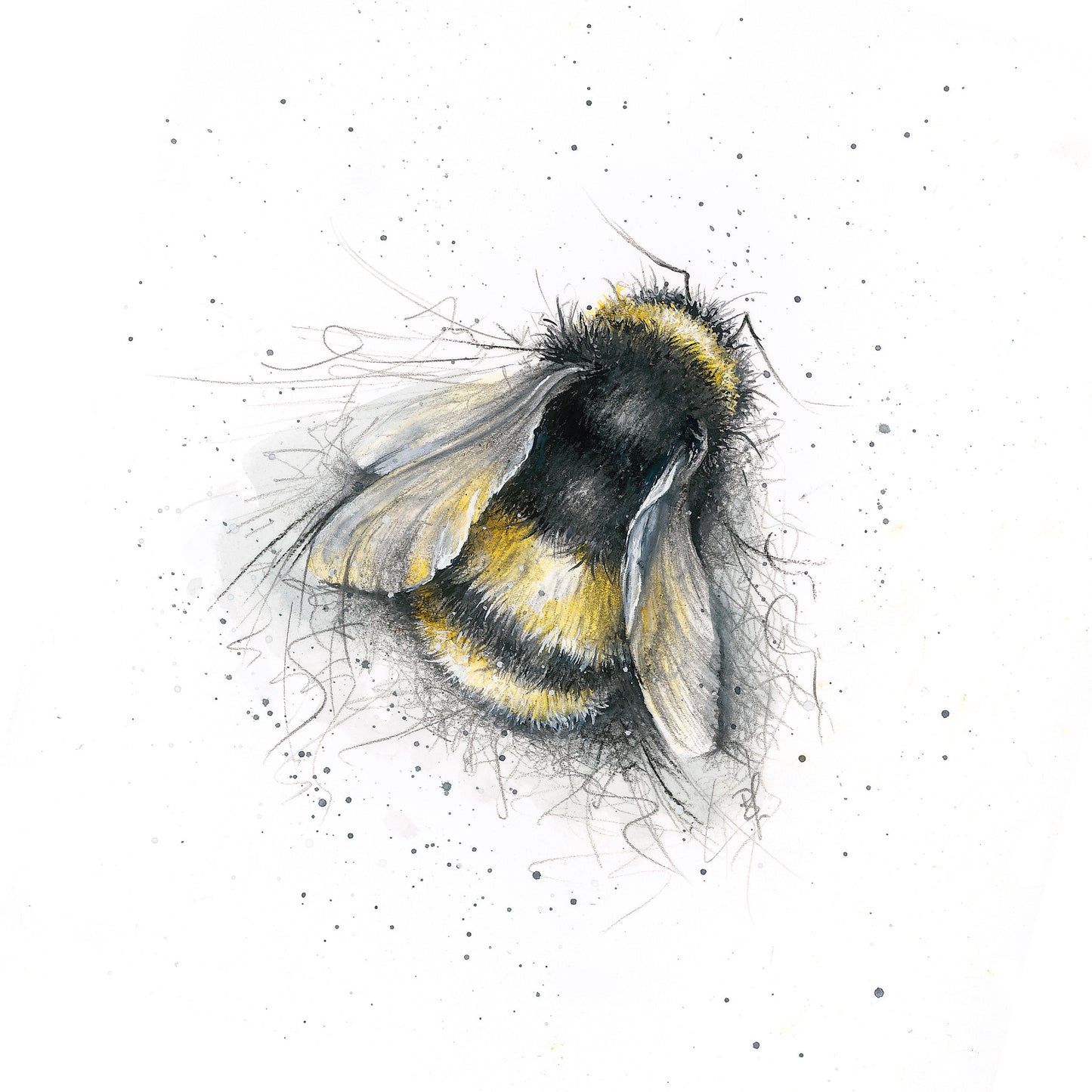 Bumble Bee Limited Edition Giclee Art Print