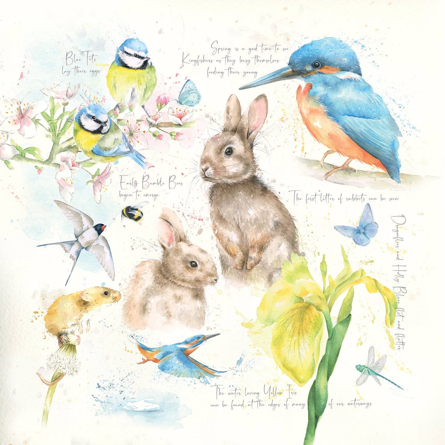 Nature's Diary Spring Limited Edition Giclee Art Print