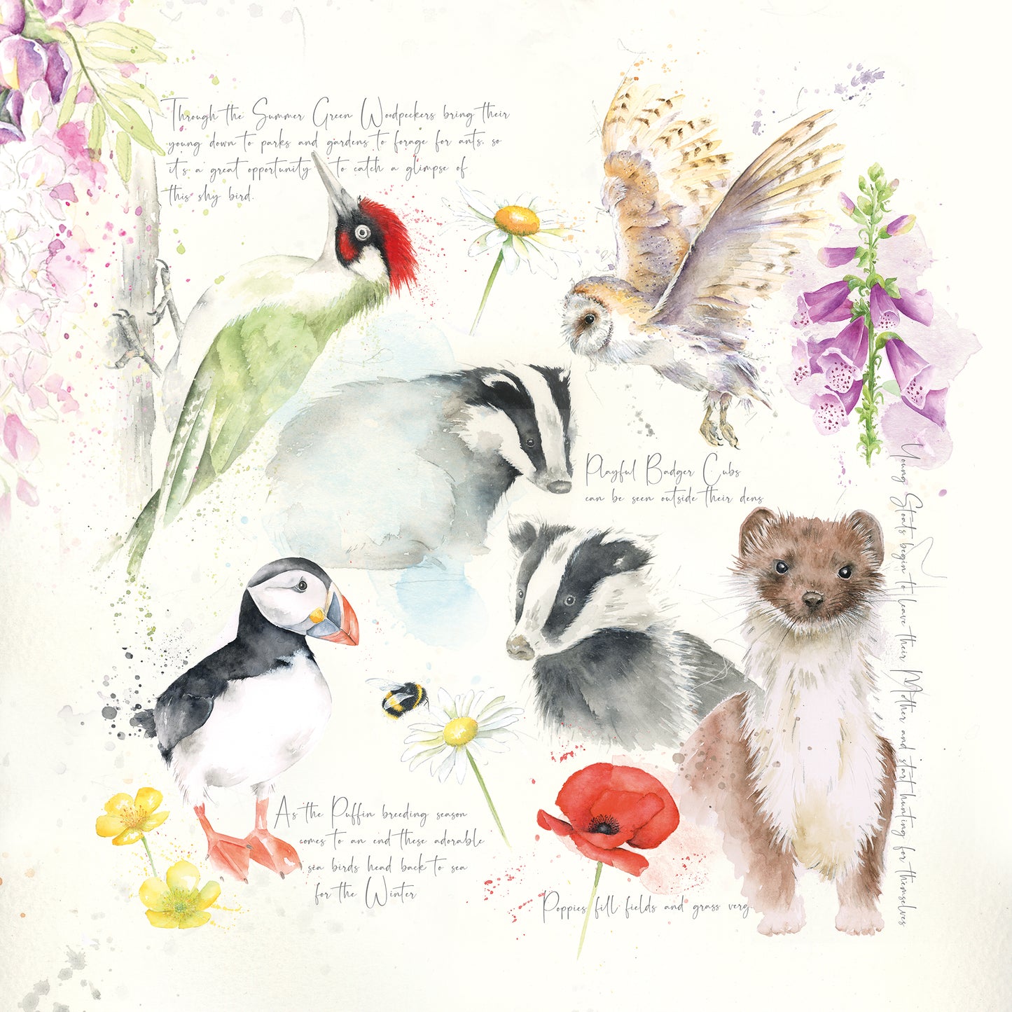 Nature's Diary Summer Limited Edition Giclee Art Print