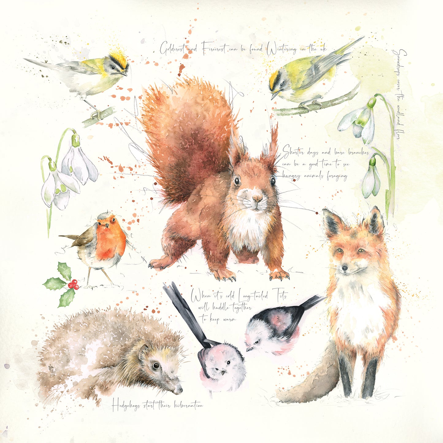 Nature's Diary Winter Limited Edition Giclee Art Print