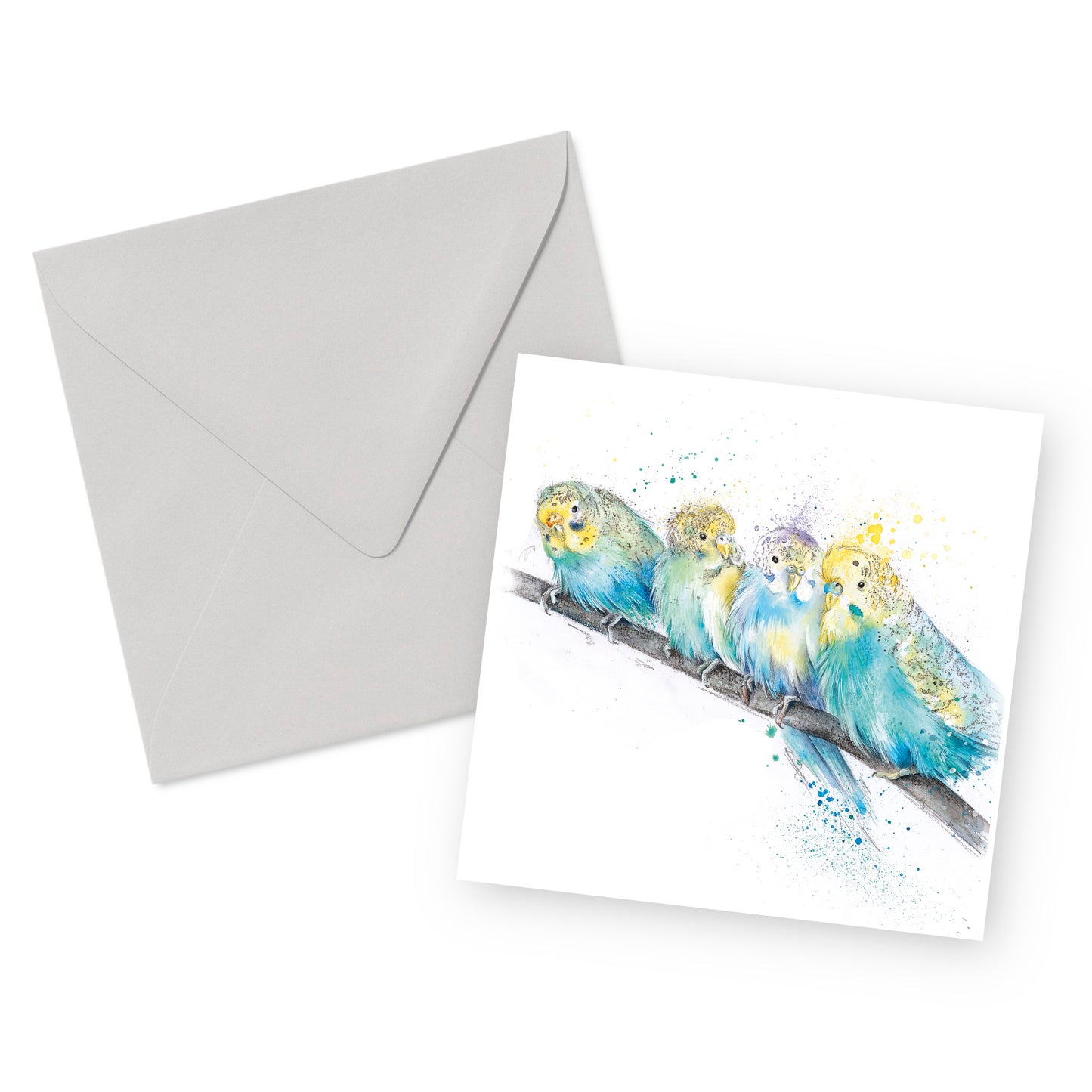 Budgies Card