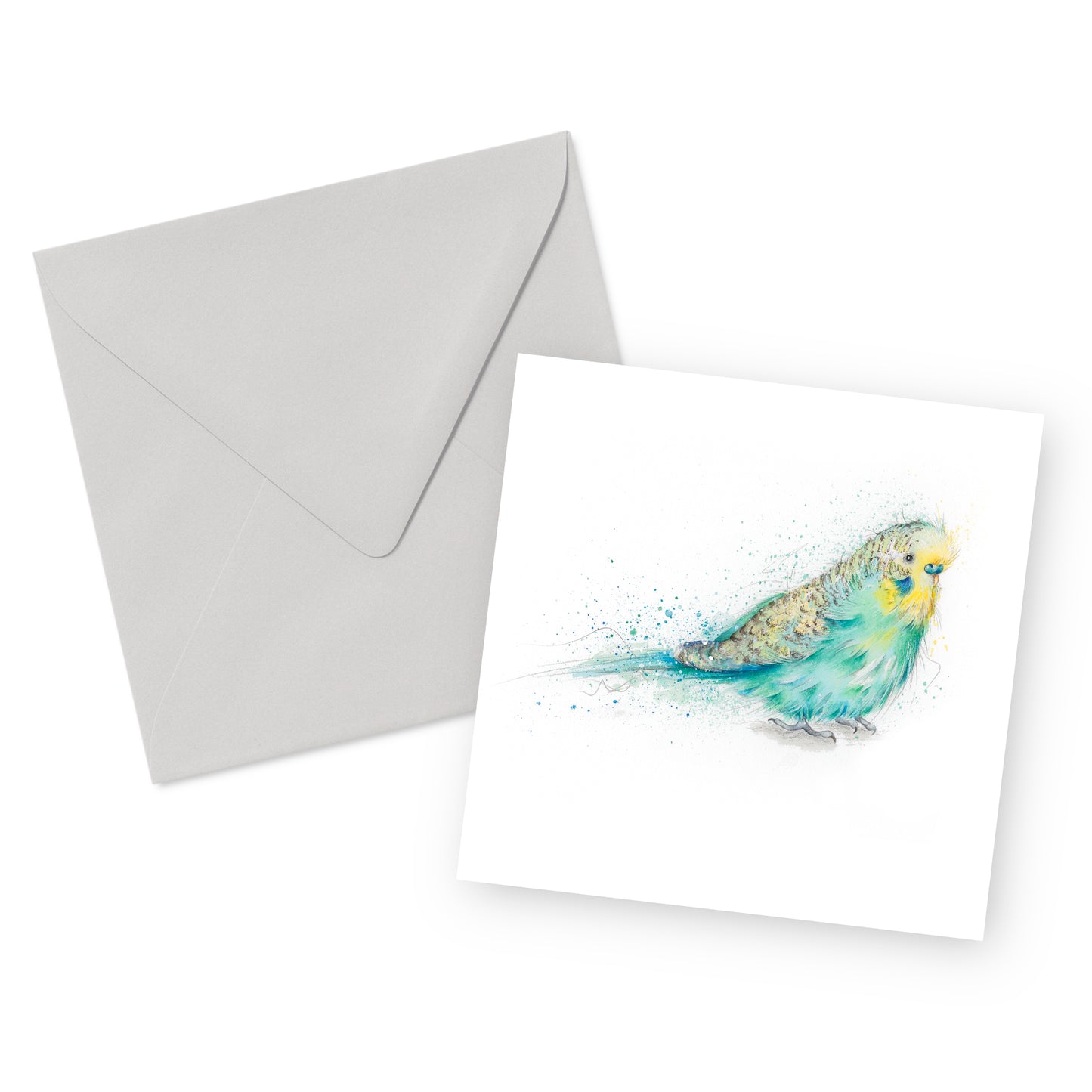 Budgie Card