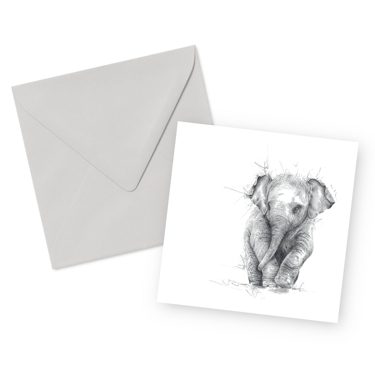 Elephant Card
