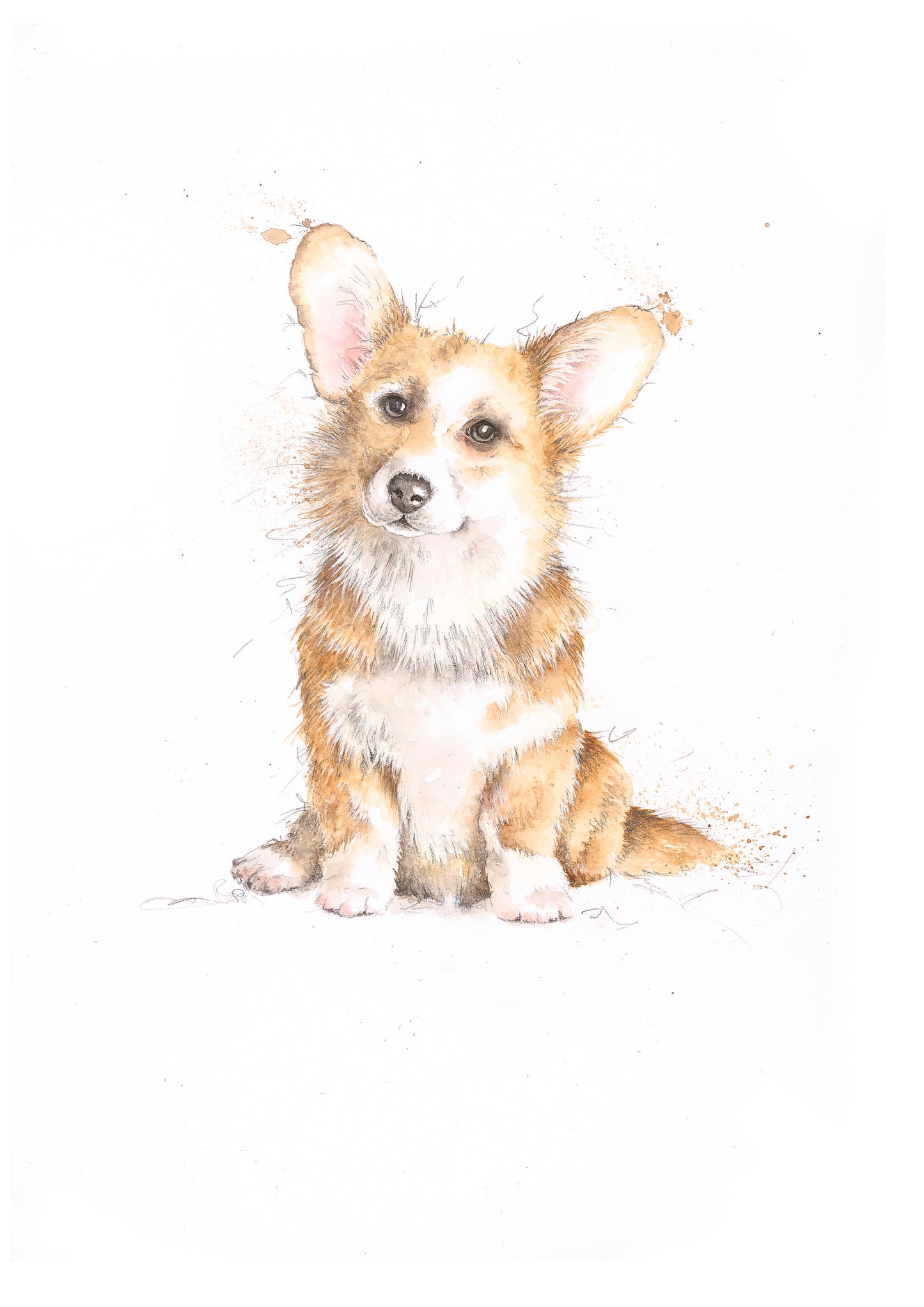 Corgi Limited Edition Giclee Art Print