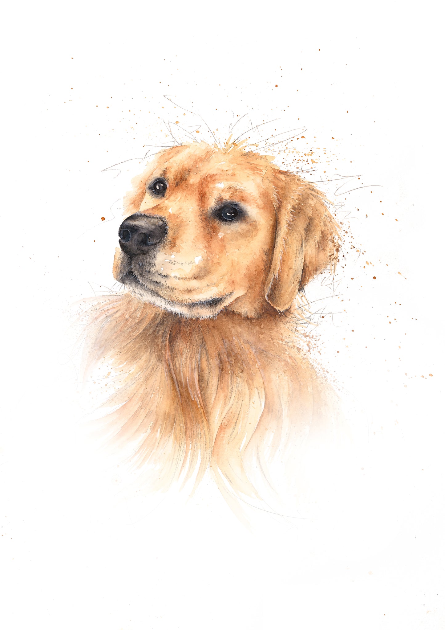 Golden Retriever Limited Edition Giclee Art Print