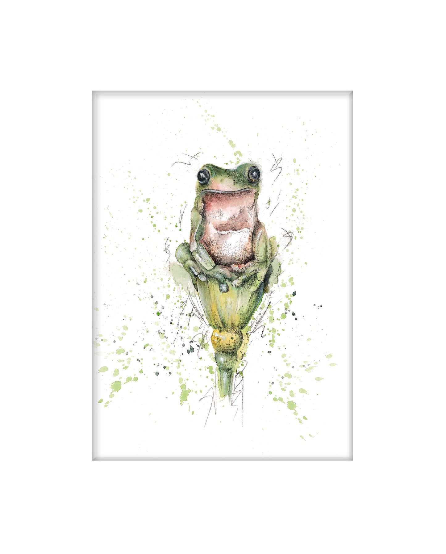 Frog Limited Edition Giclee Art Print