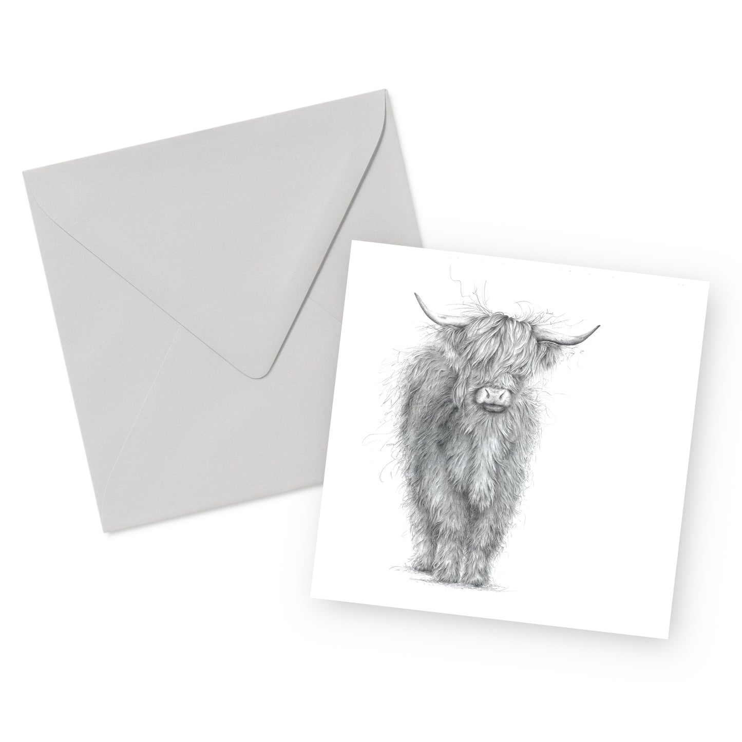 Highland Cow Card
