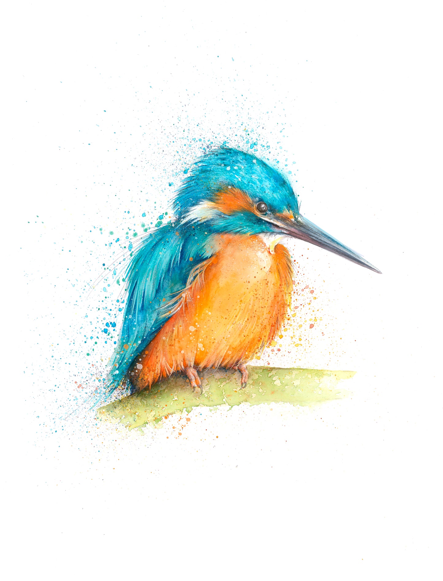 Kingfisher Limited Edition Giclee Art Print