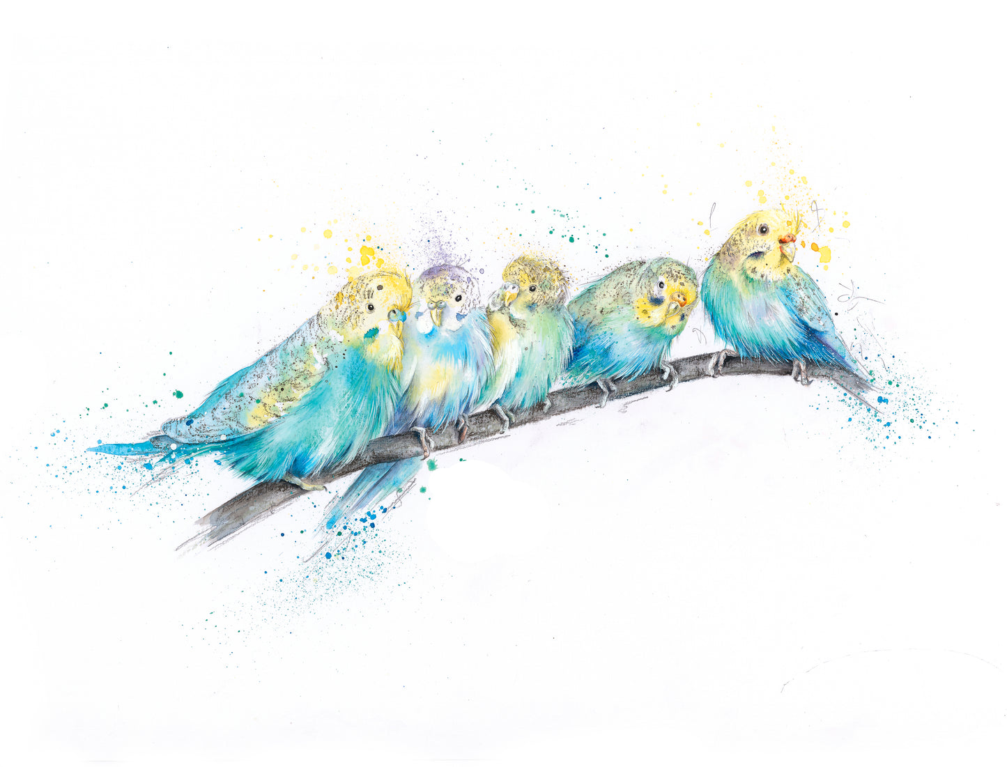 Budgies Party Time Limited Edition Giclee Art Print
