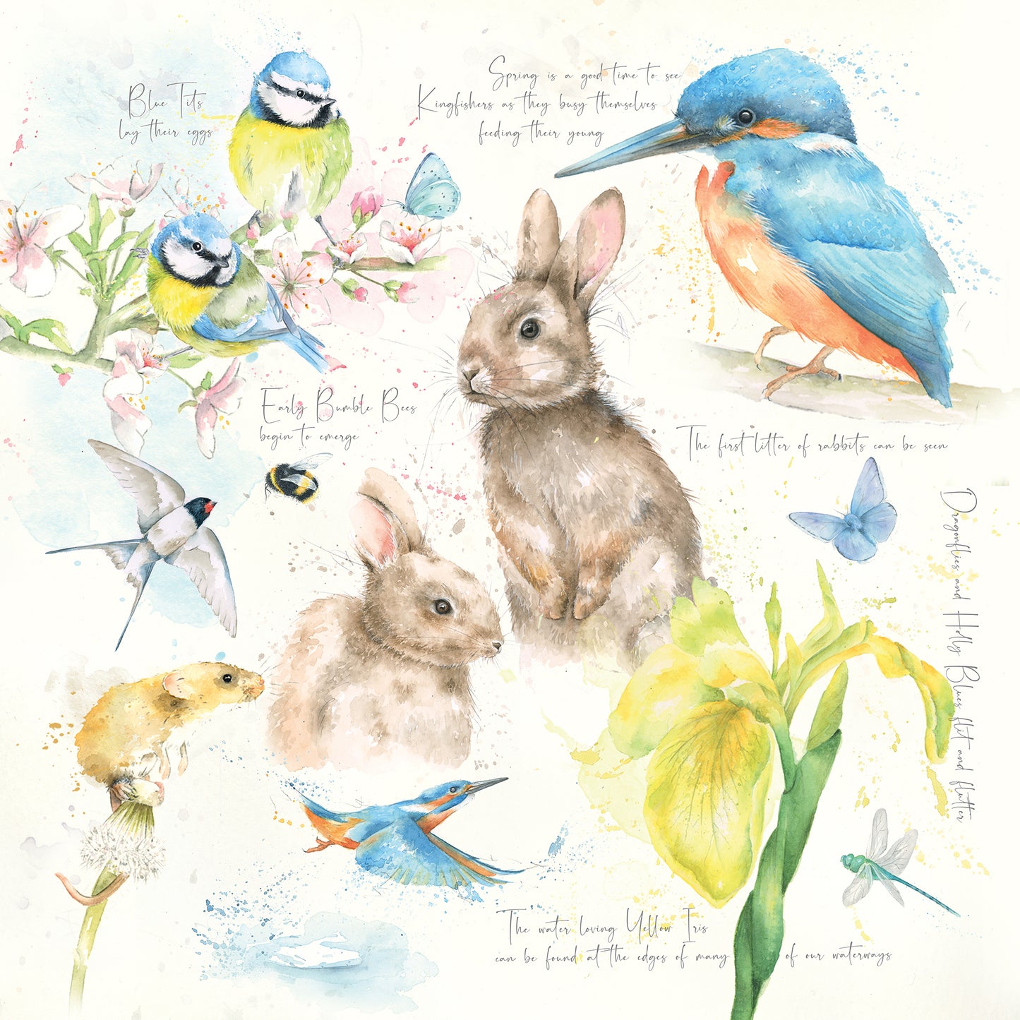 Spring Cushion, Pillow, Soft Furnishings, Home decor, Art for the Home, Nature's Diary