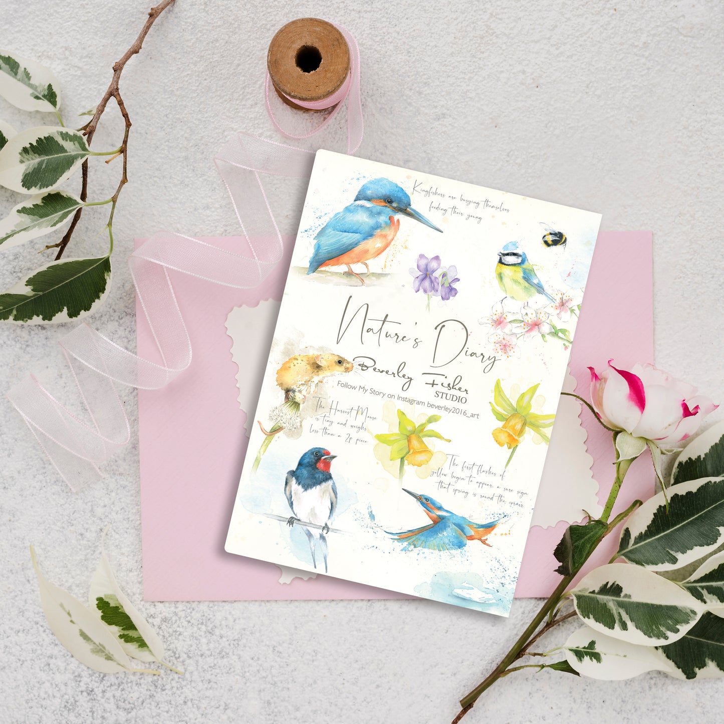 A5 Spring Notebook Nature's Diary