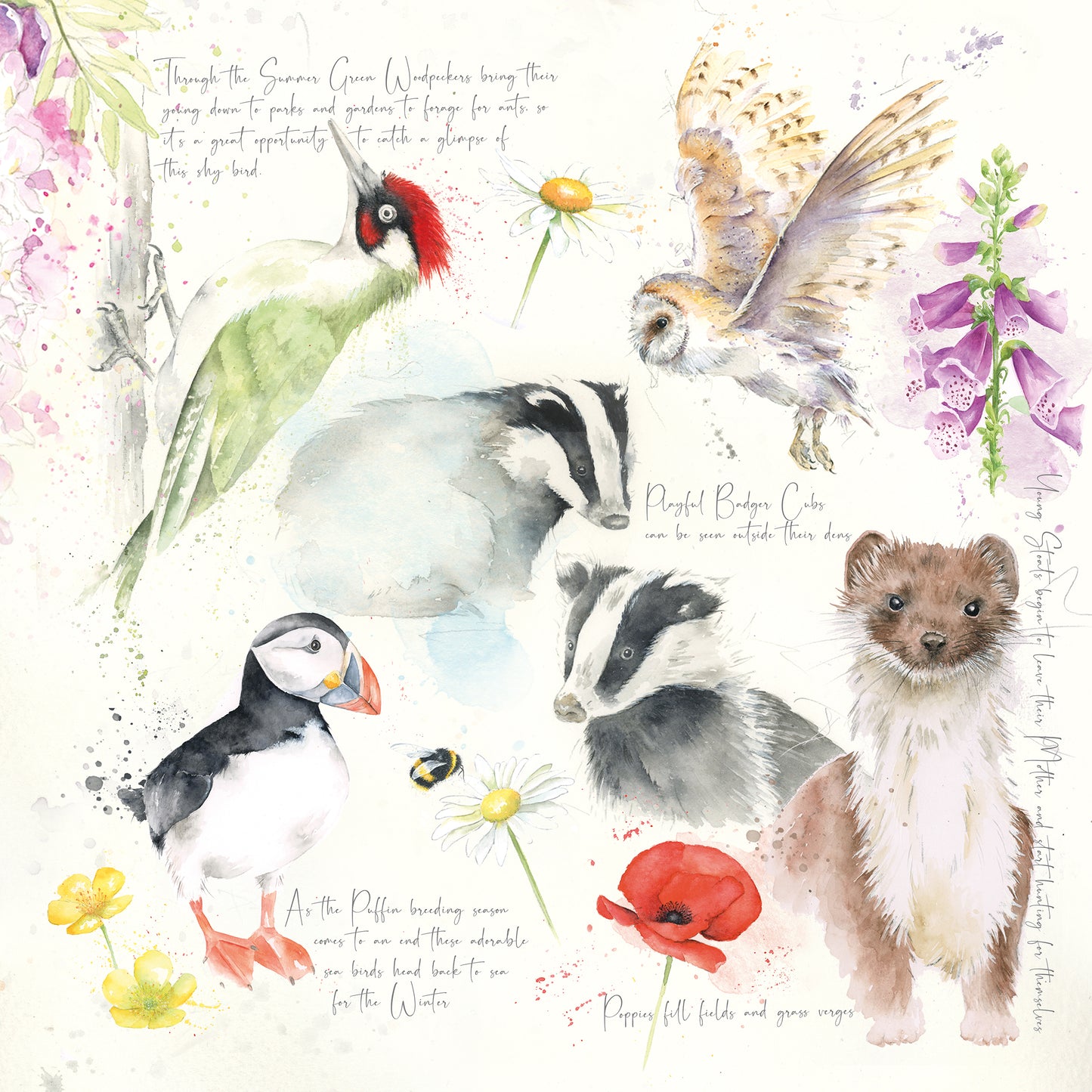 Summer Cushion, Pillow, Soft Furnishings, Home decor, Art for the Home, Nature's Diary