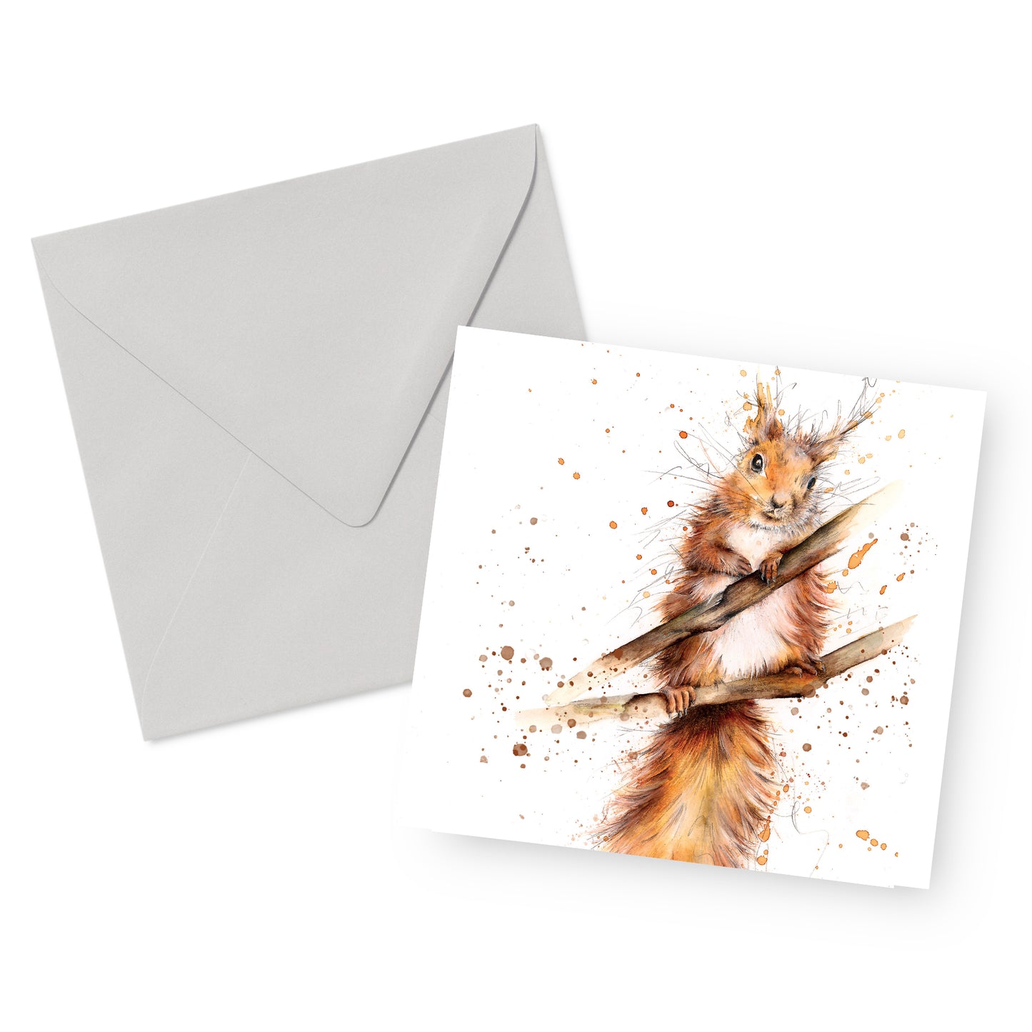 Red Squirrel Card