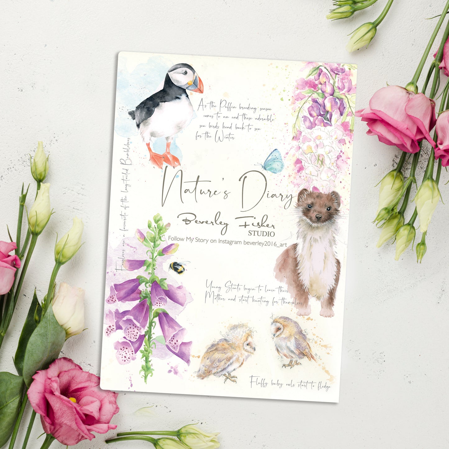 A5 Summer Notebook Nature's Diary