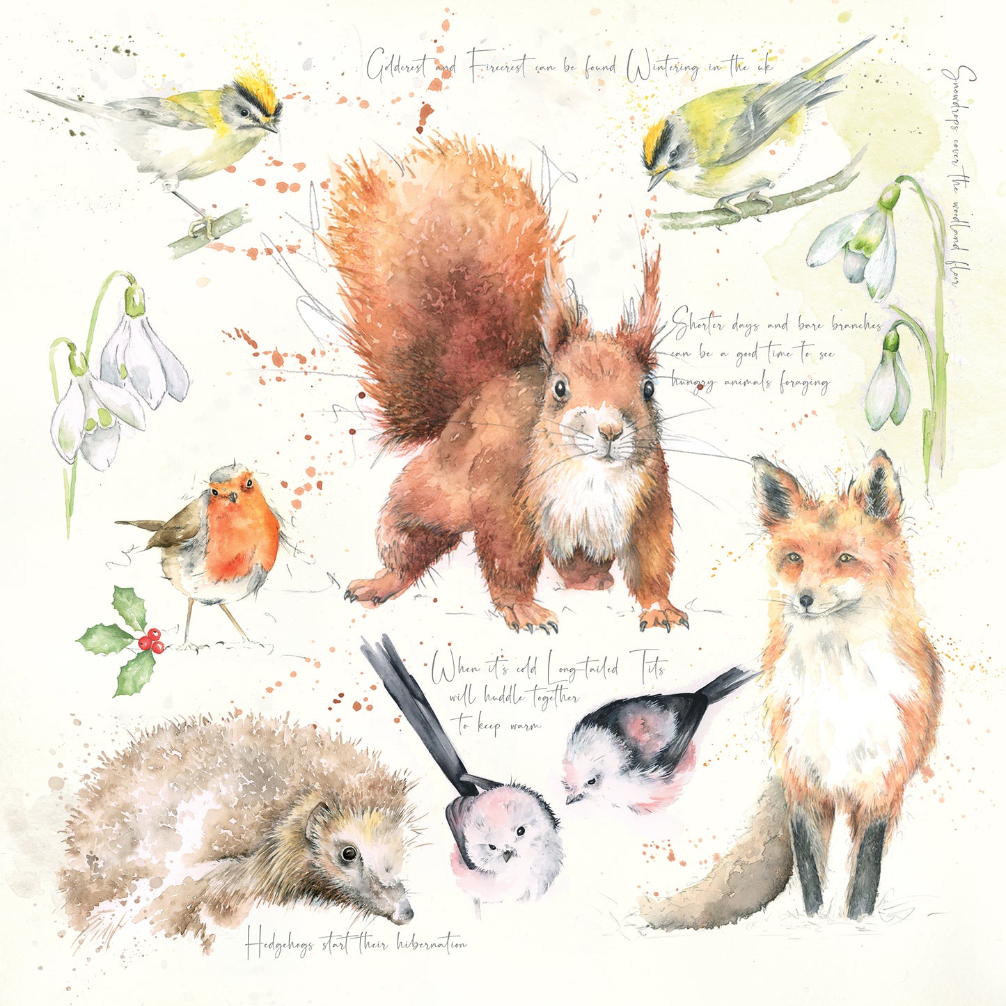 Winter Cushion, Pillow, Soft Furnishings, Home decor, Art for the Home, Nature's Diary