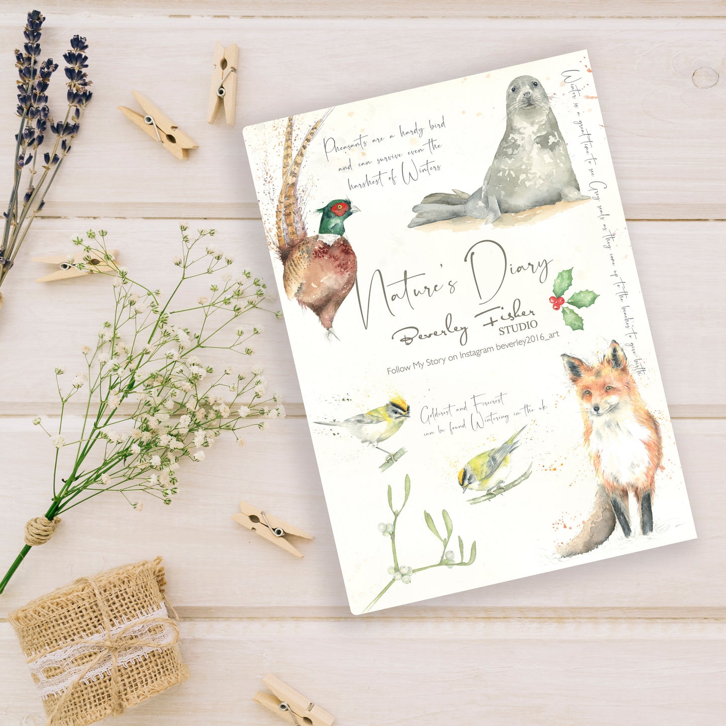 A5 Winter Notebook Nature's Diary