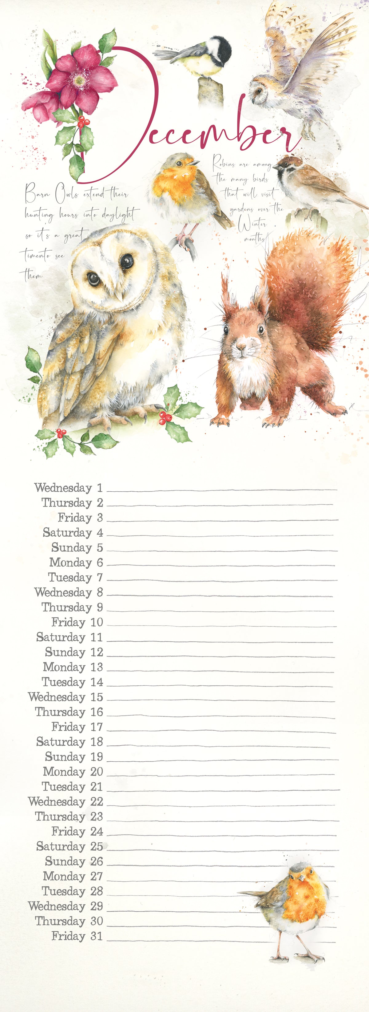 Wall Calendar 2027 Nature's Diary Slim