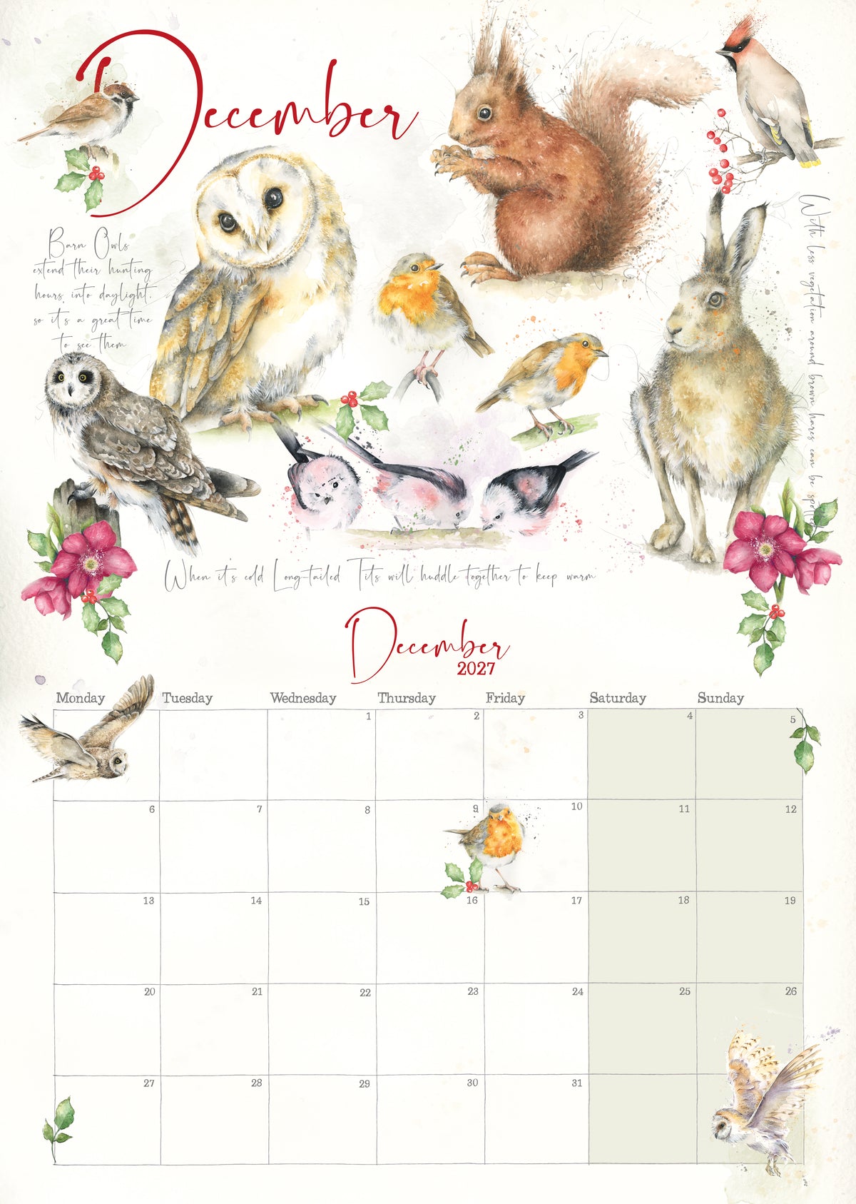 Wall Calendar 2027 Nature's Diary Slim