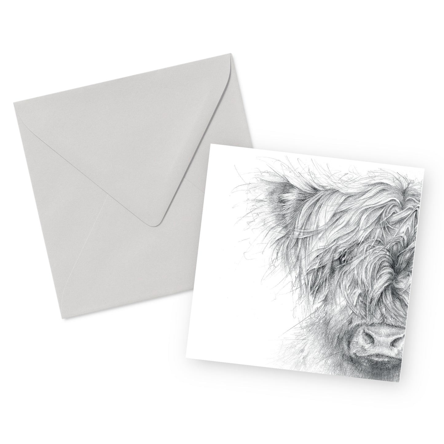 Highland Coo Greeting Card
