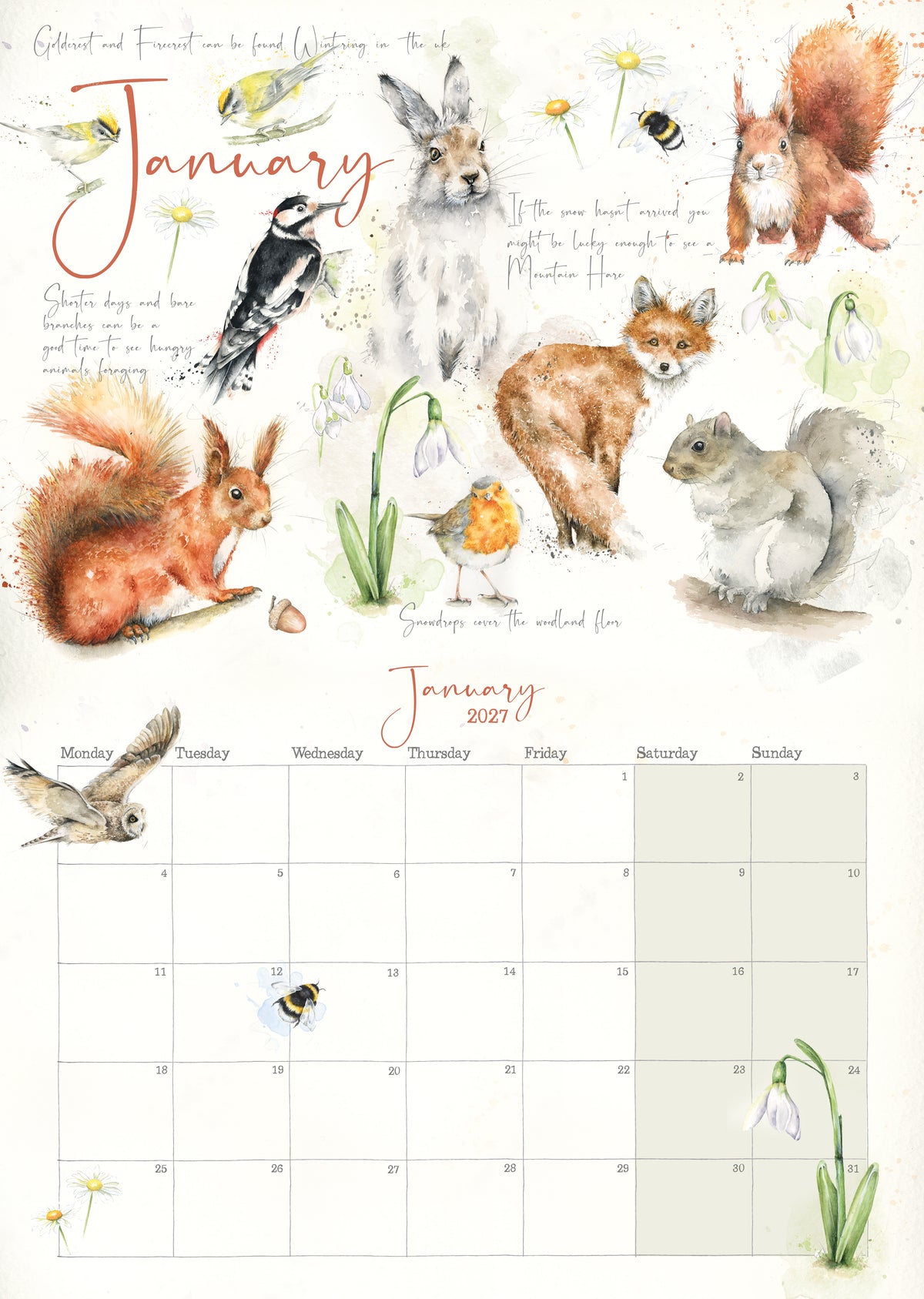 Wall Calendar 2027 Nature's Diary Slim