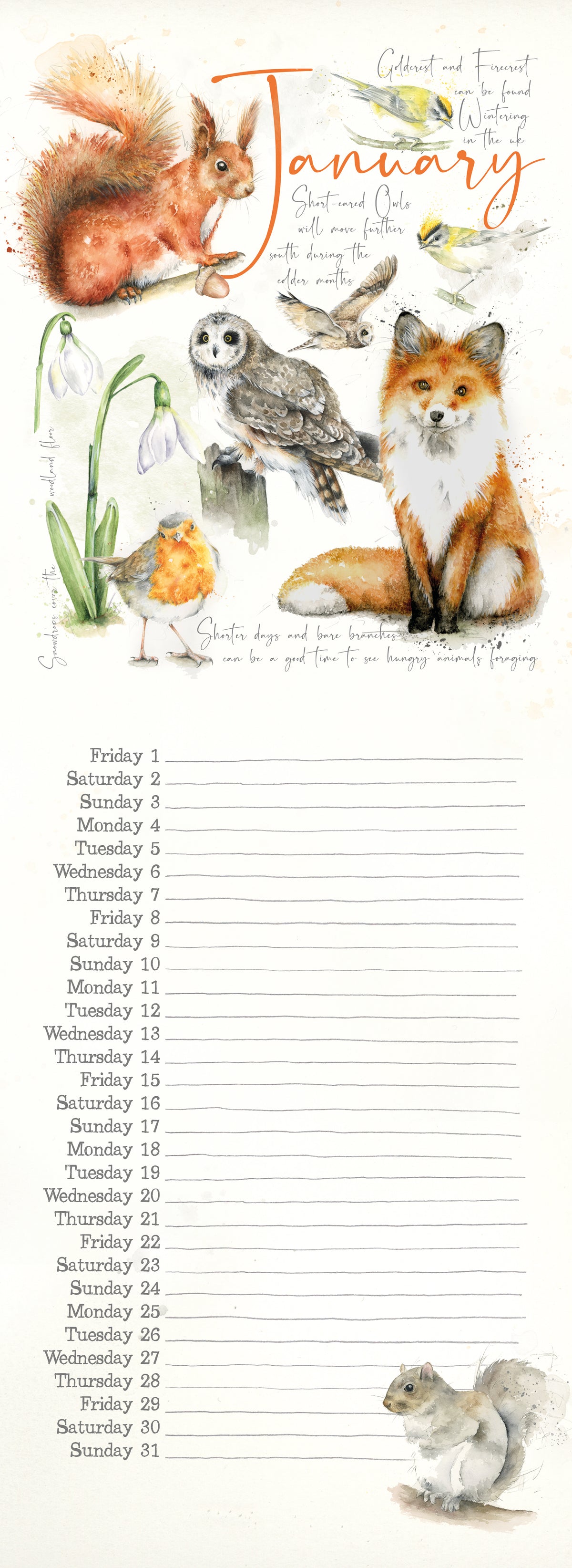 Wall Calendar 2027 Nature's Diary Slim