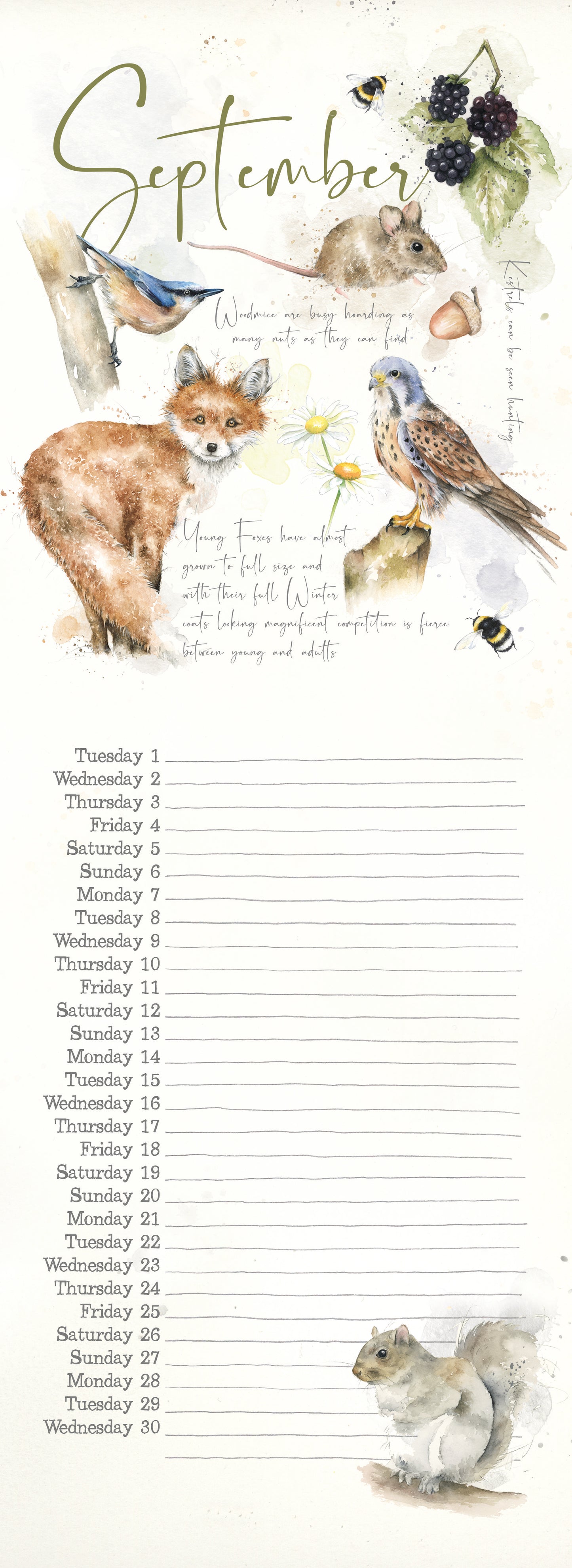2026 Calendar