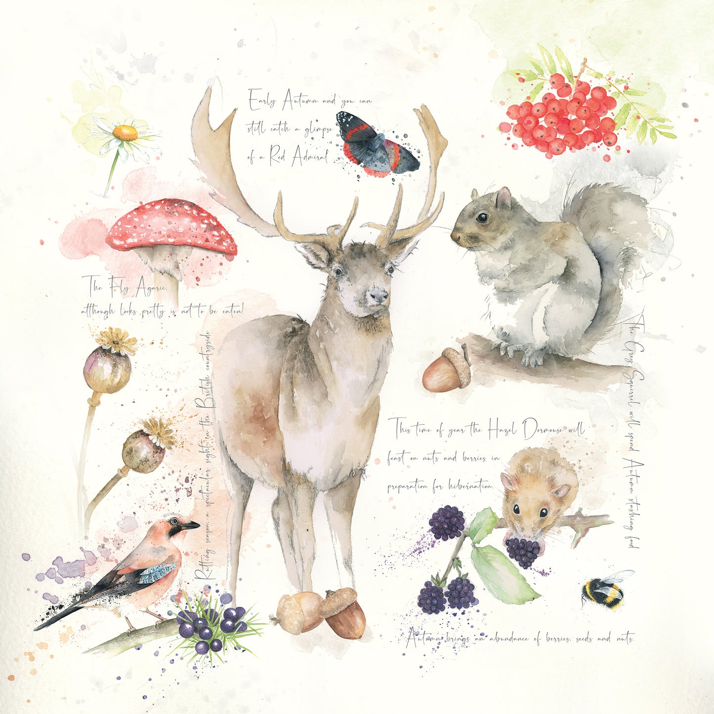 Nature's Diary Autumn Limited Edition Giclee Art Print
