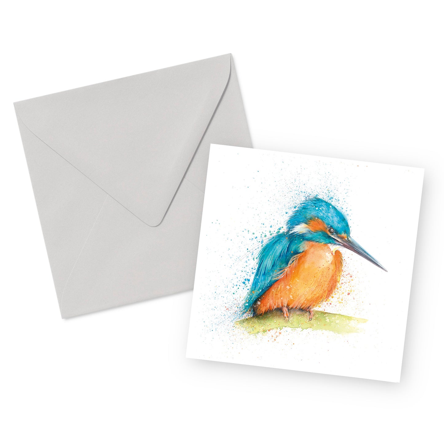 Kingfisher Card