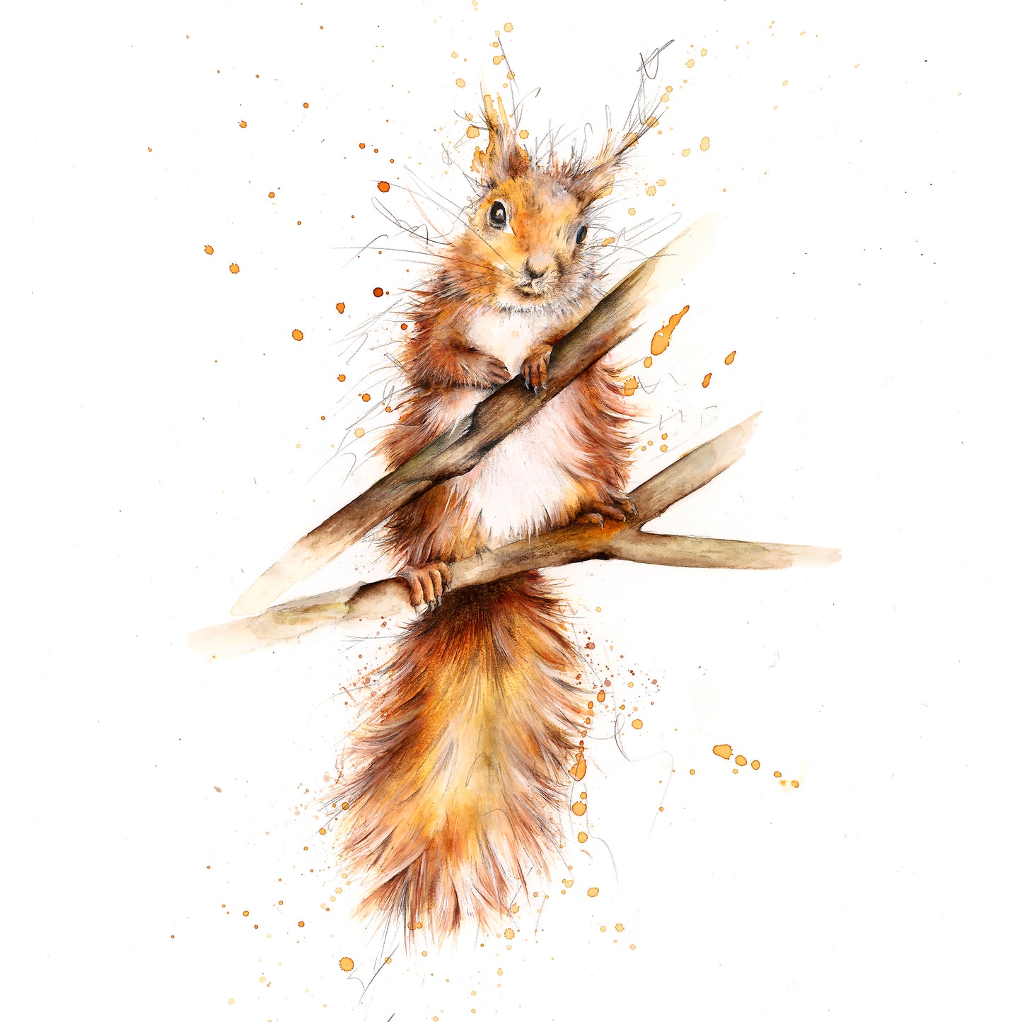 Red Squirrel Cushion, Pillow, Soft Furnishings, Home decor, Art for the Home